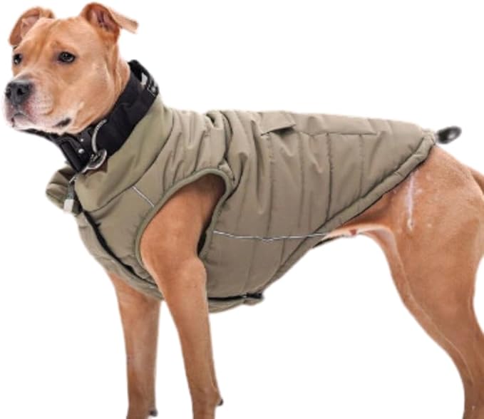Spark Paws Dog Winter Jacket